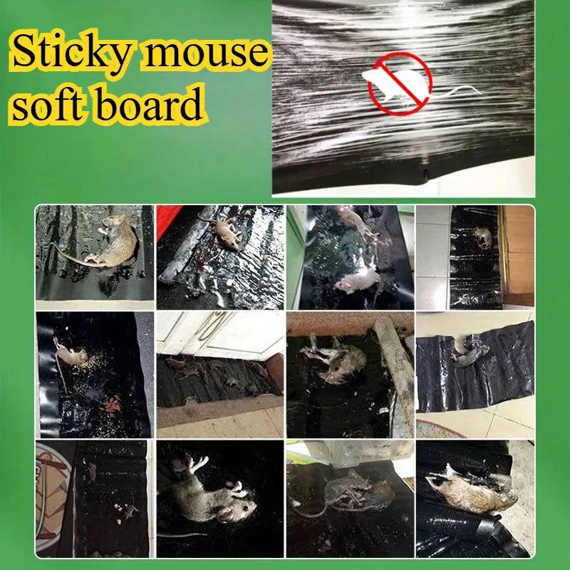 Extra Large Rat Trap