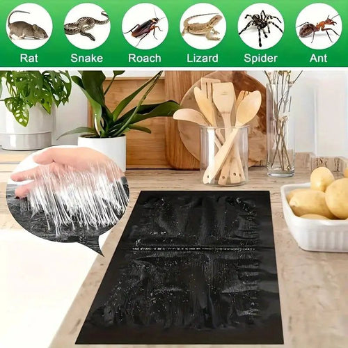 Extra Large Rat Trap